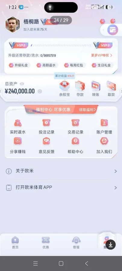 欧米体育玩家梧桐路VIP8账户个人中心显示总资产240000元截图